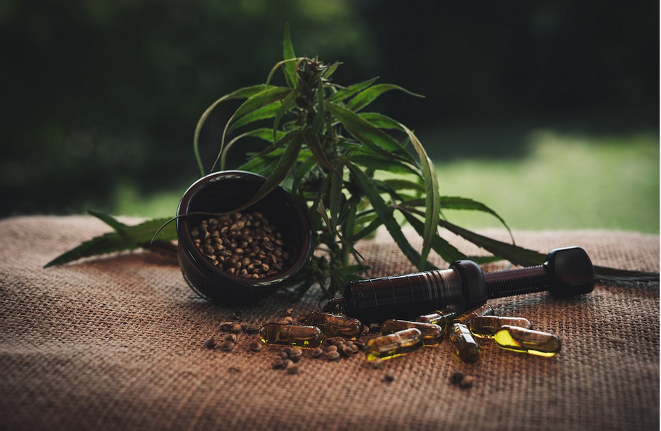 cbd oil