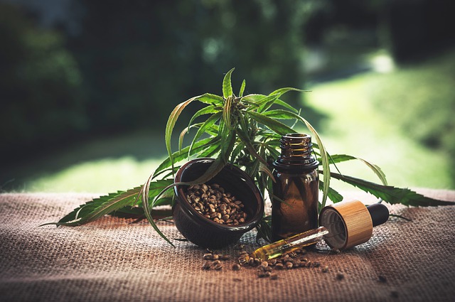 marijuana cannabis weed